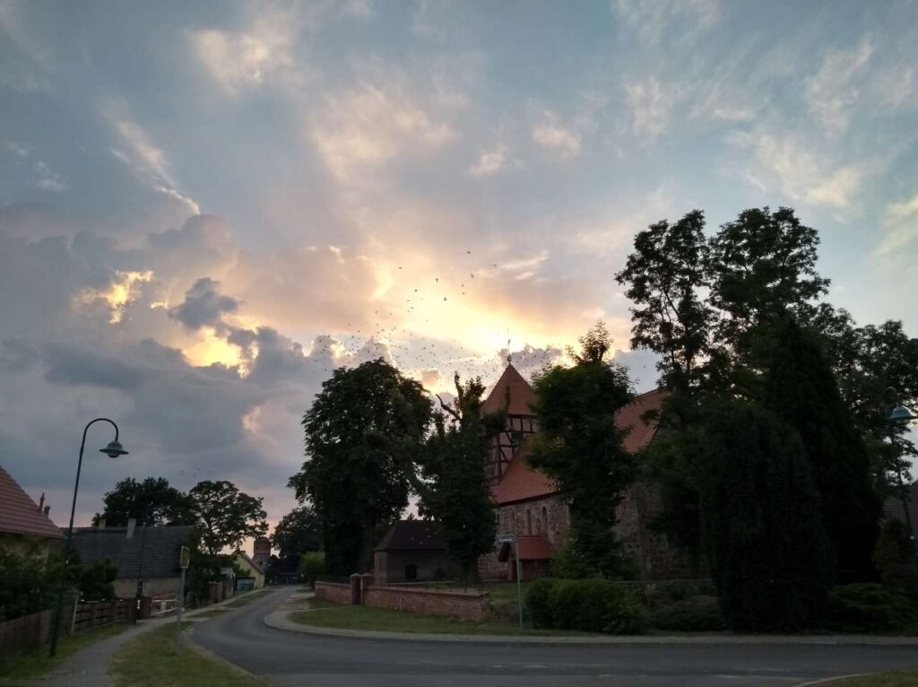 Feldsteinkirche im Dorfzentrum von Niederlandin